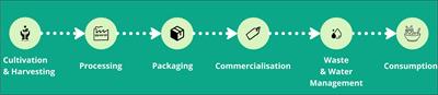 Actor groups influencing and shaping sustainable microalgae value chains in Europe